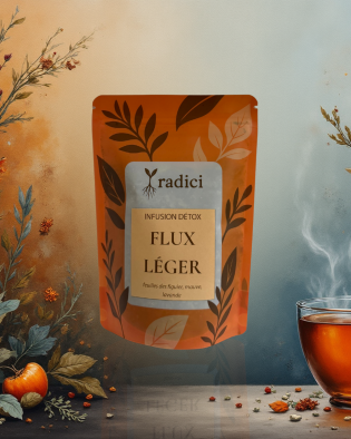 FLUX LÉGER